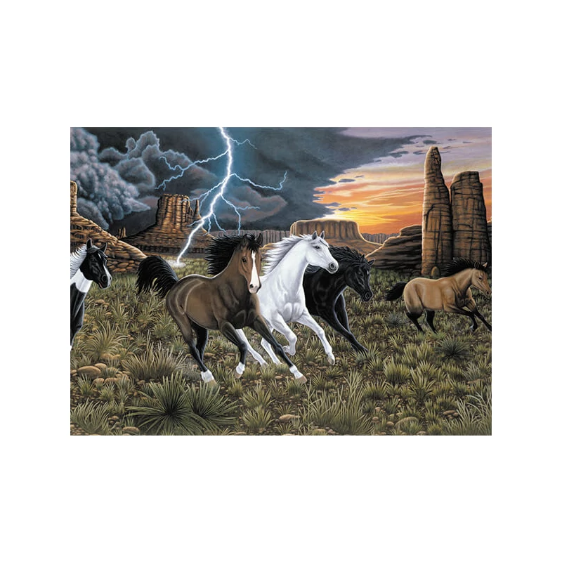Sada očíslovaných omaľovánok, akrylová farba+štetec, 29x39 cm - Bežiace kone