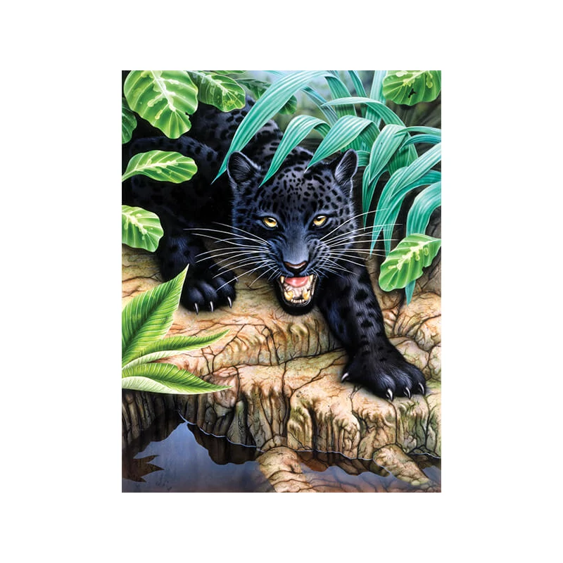 Sada očíslovaných omaľovánok, akrylová farba+štetec, 22x30 cm - Čierny leopard