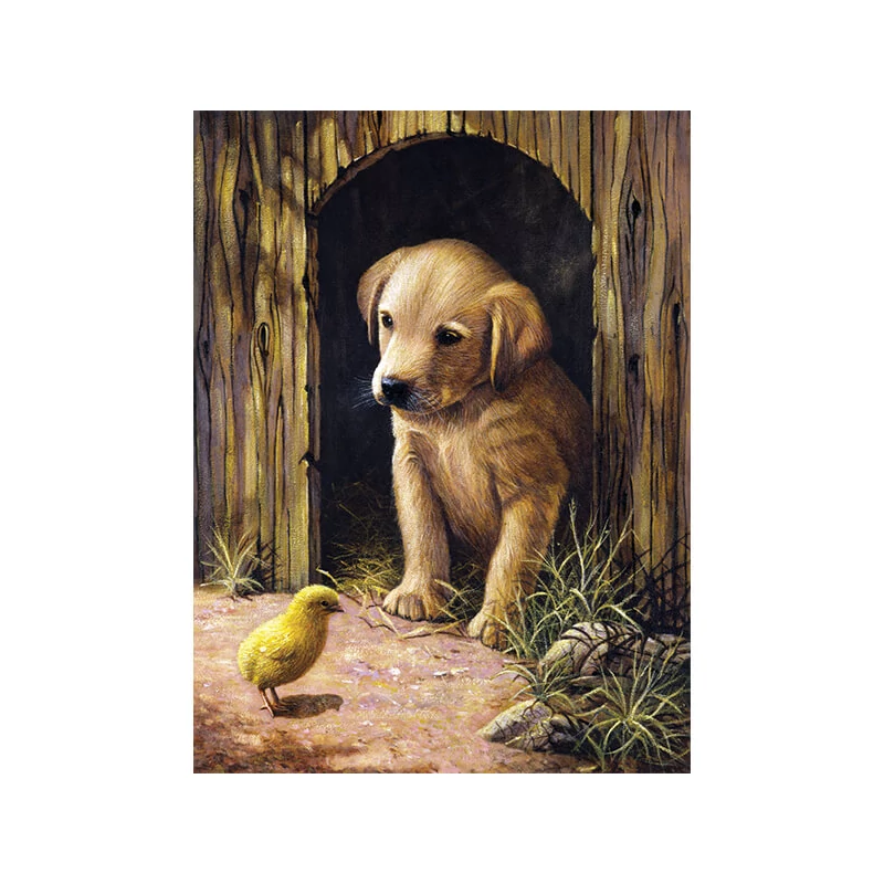 Sada očíslovaných omaľovánok, akrylová farba+štetec, 22x30 cm - šteniatko labradora