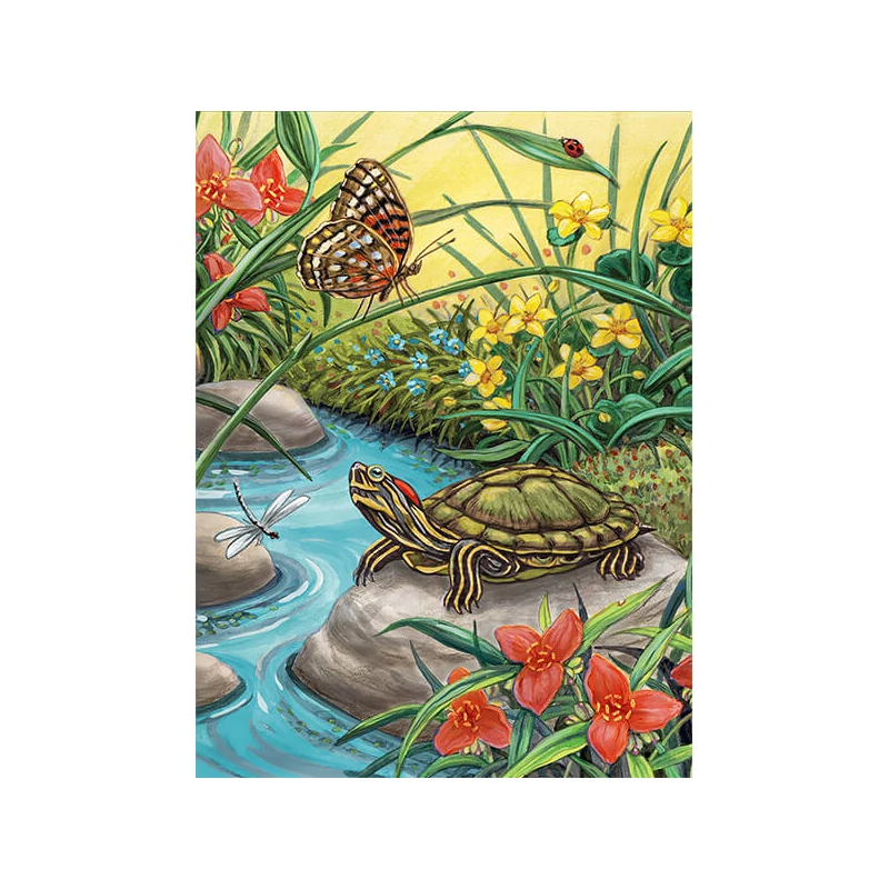 Sada očíslovaných omaľovánok, akrylová farba+štetec, 22x30 cm - Korytnačka
