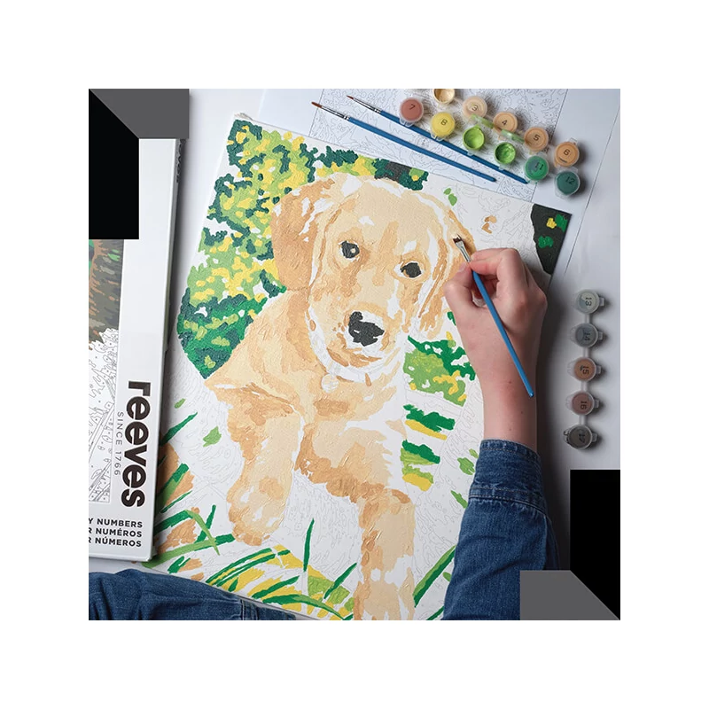 Sada na maľovanie podľa čísel Reeves, 30x40 cm - Labrador