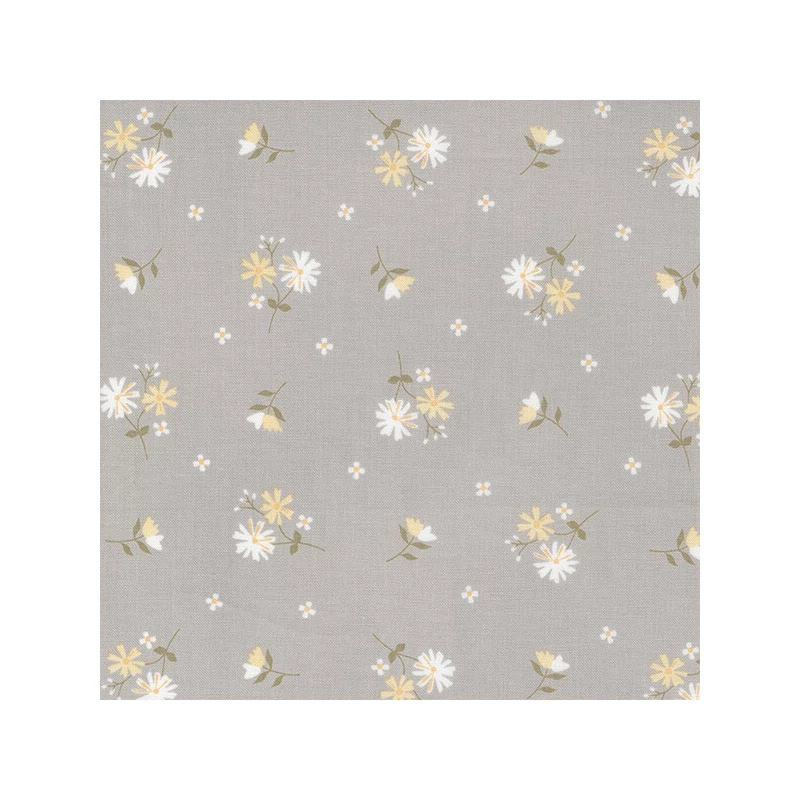Patchworková tkanina - Moda - Buttercup and Slate by Corey Yoder 29153-16