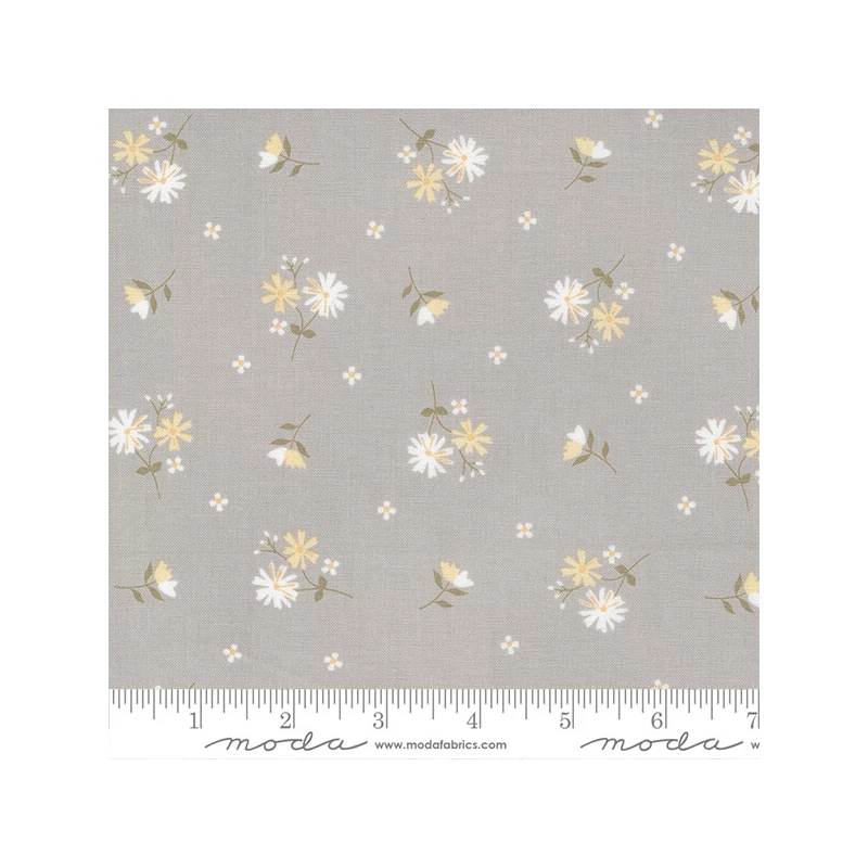 Patchworková tkanina - Moda - Buttercup and Slate by Corey Yoder 29153-16