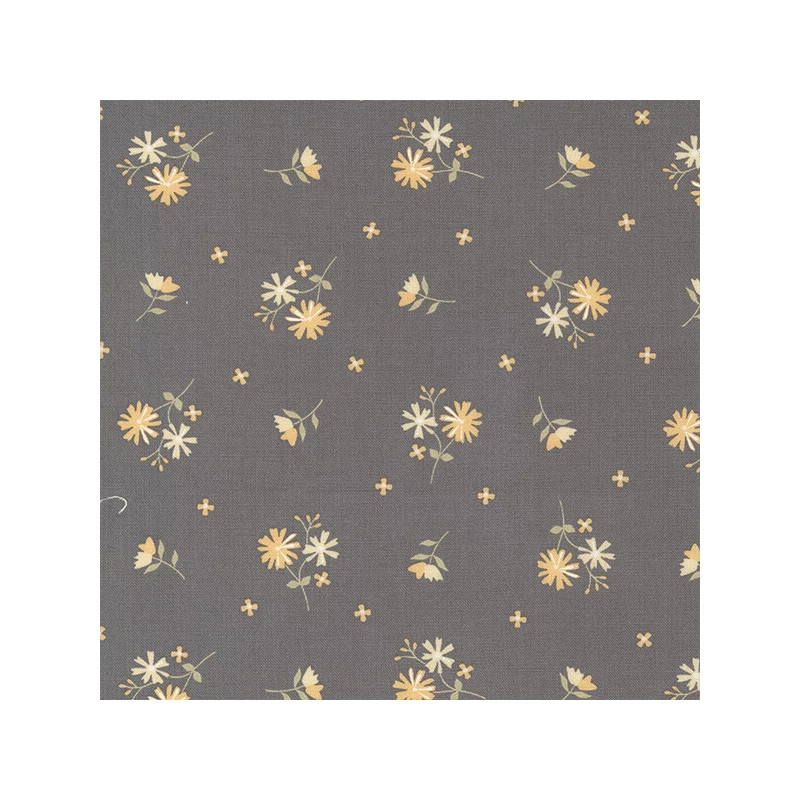 Patchworková tkanina - Moda - Buttercup and Slate by Corey Yoder 29153-17