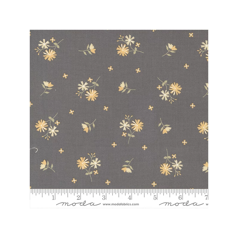 Patchworková tkanina - Moda - Buttercup and Slate by Corey Yoder 29153-17