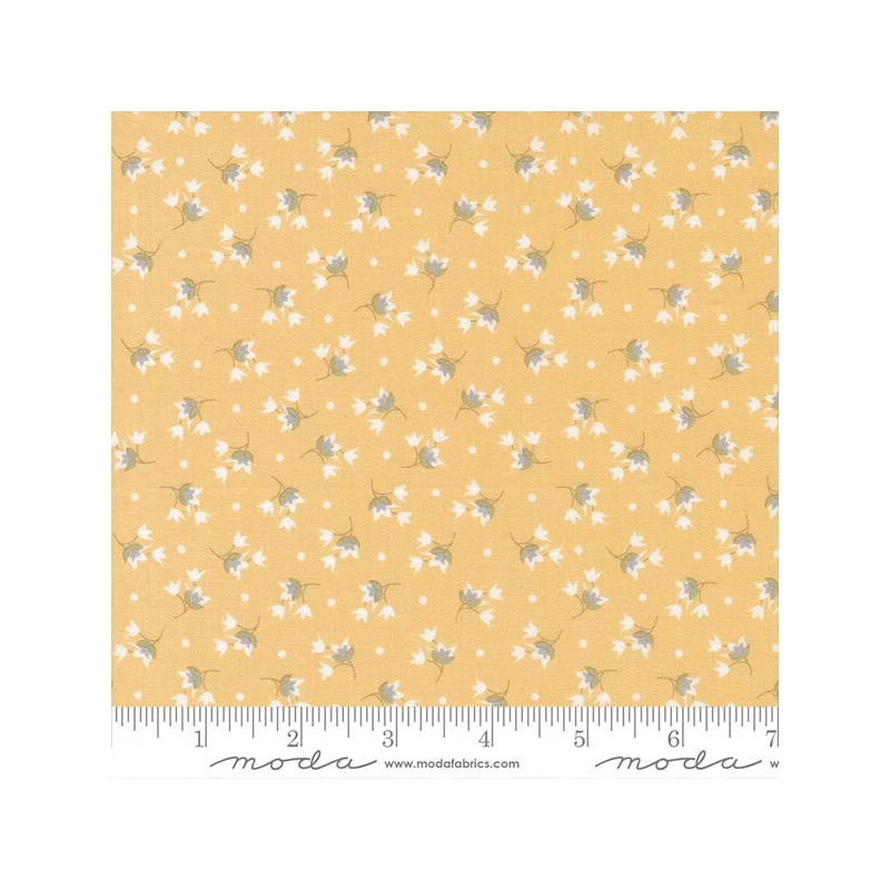 Patchworková tkanina - Moda - Buttercup and Slate by Corey Yoder 29154-12