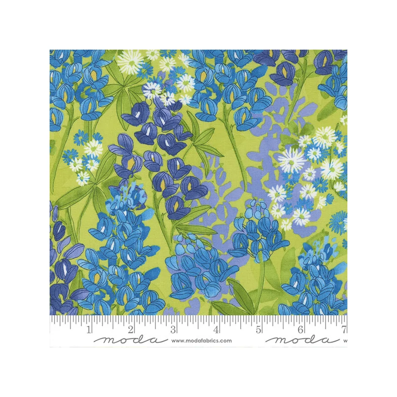 Patchworková tkanina - Moda - Wild Blossom by Robin Pickens 48732-13
