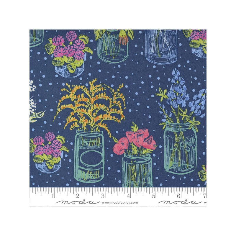 Patchworková tkanina - Moda - Wild Blossom by Robin Pickens 48734-25