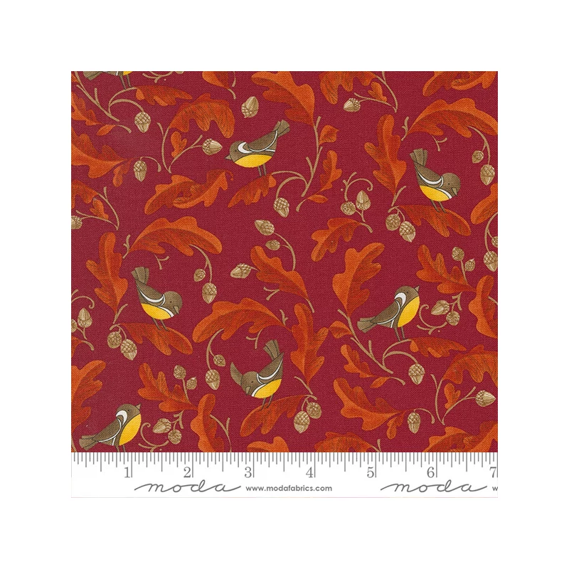 Patchworková tkanina - Moda - Forest Frolic by Robin Pickens 48742-16