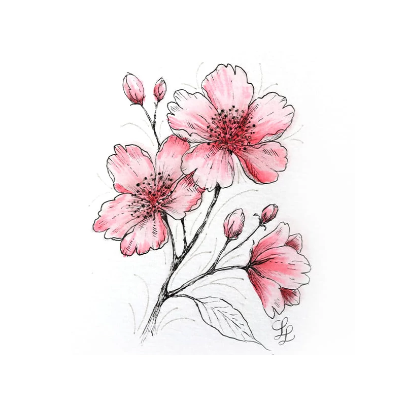 Sada na kreslenie Sakura Creative kit - Cherry Blossom