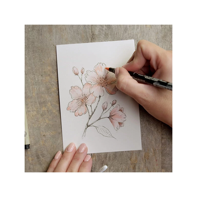 Sada na kreslenie Sakura Creative kit - Cherry Blossom