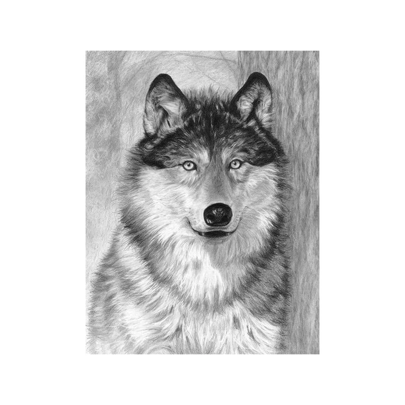 Sada nástrojov na kreslenie náčrtov s grafickými nástrojmi, 22x30 cm - Vlk