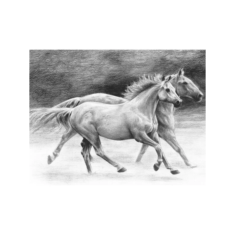 Sada nástrojov na kreslenie náčrtov s grafickými nástrojmi, 22x30 cm - Kone