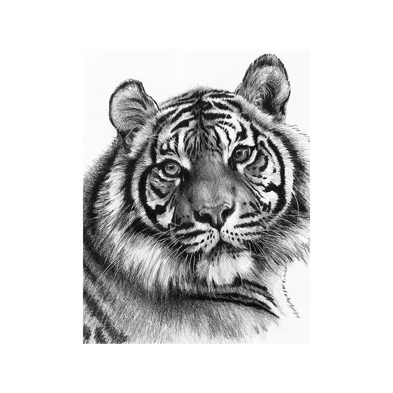 Sada nástrojov na kreslenie náčrtov s grafickými nástrojmi, 22x30 cm - Tiger