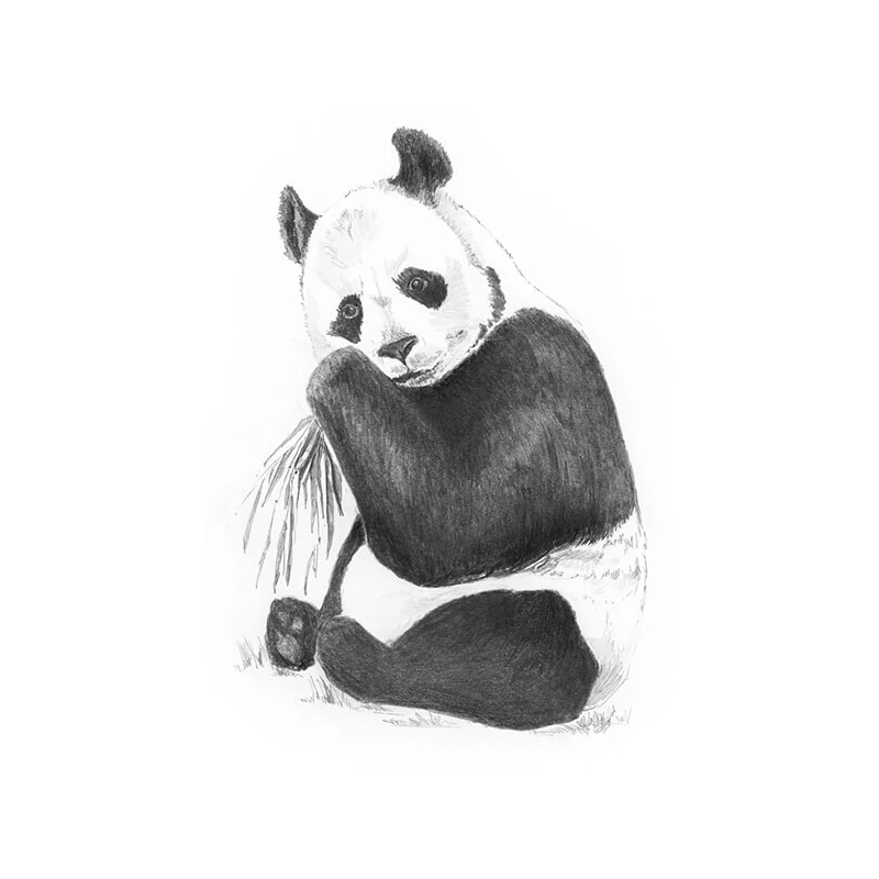Mini sada nástrojov na kreslenie náčrtov s grafickými nástrojmi, 12x18 cm - Panda